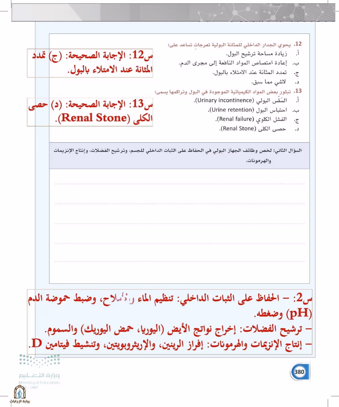 صفحة 380