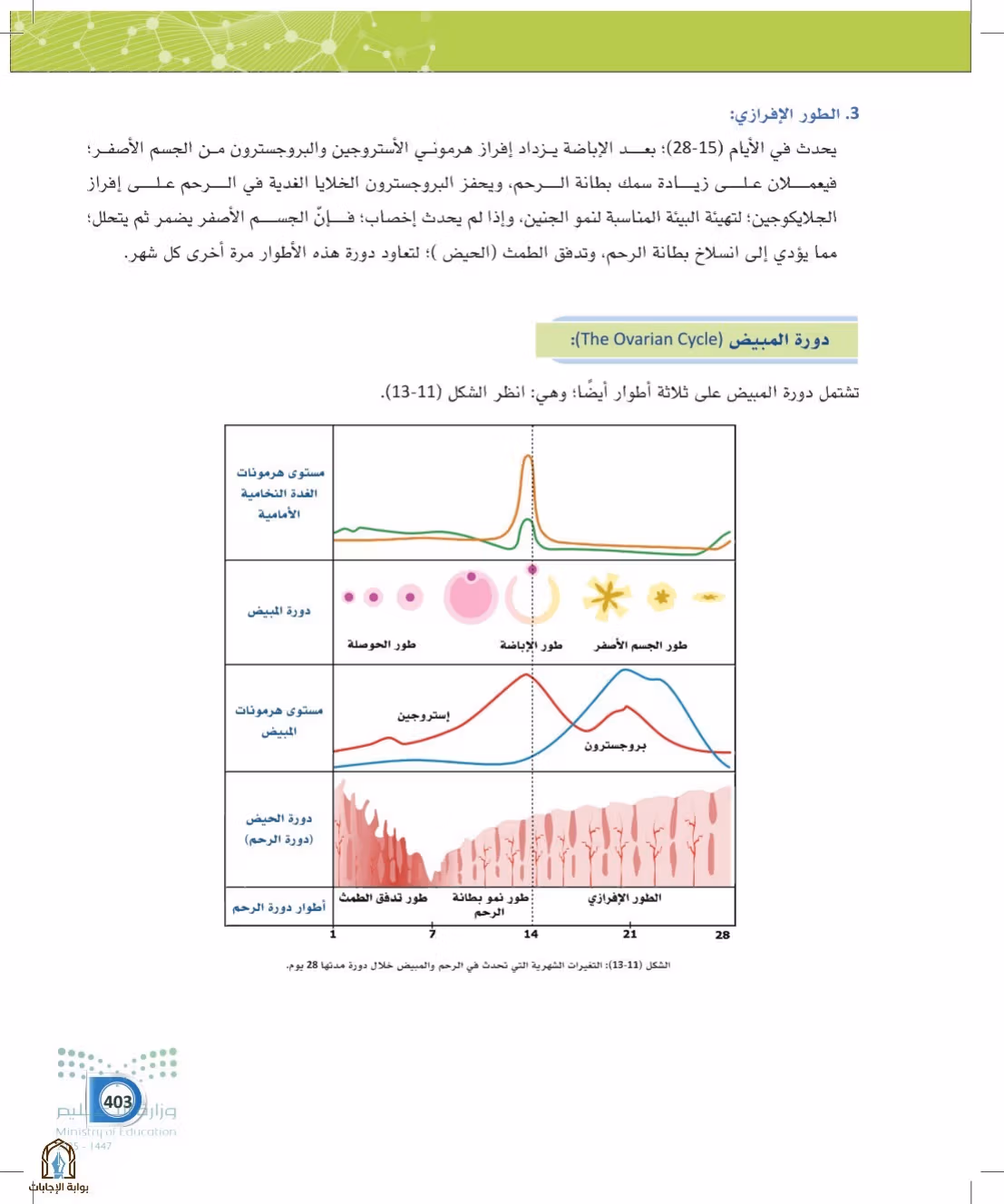 صفحة 403