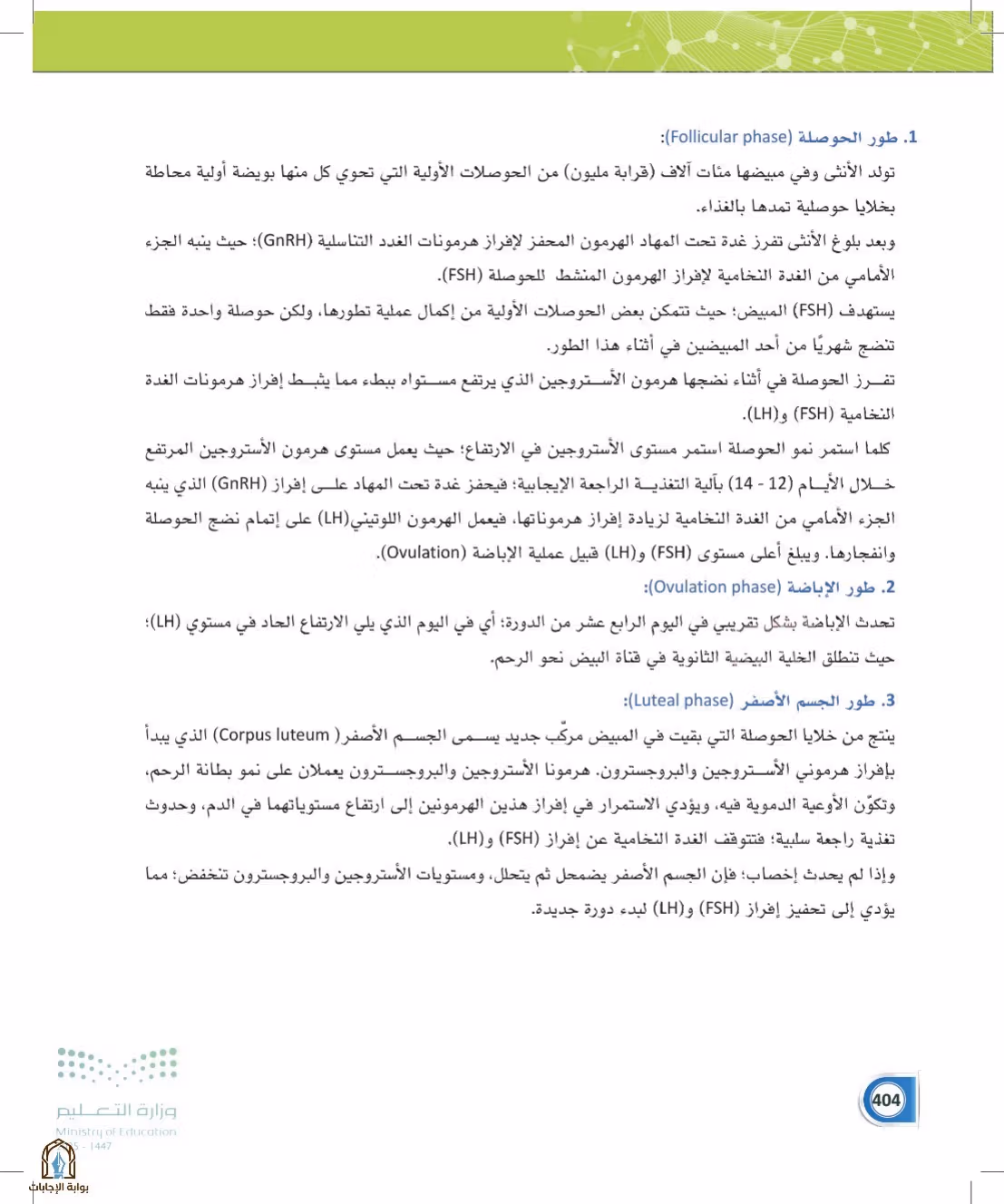 صفحة 404