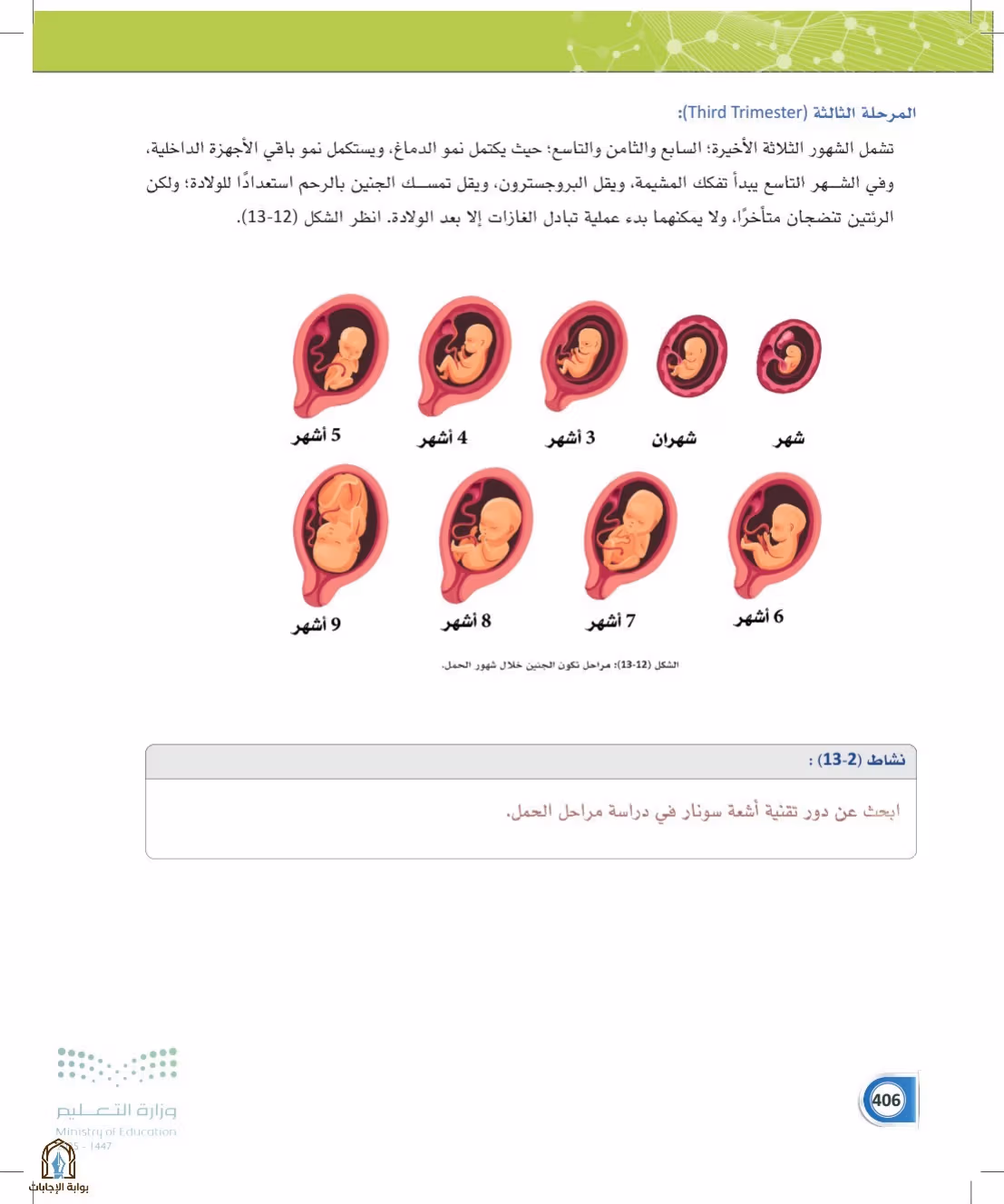 صفحة 406
