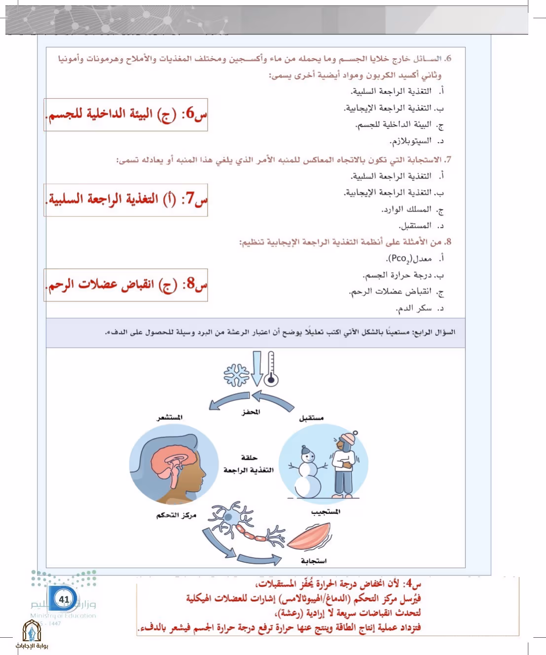 صفحة 41