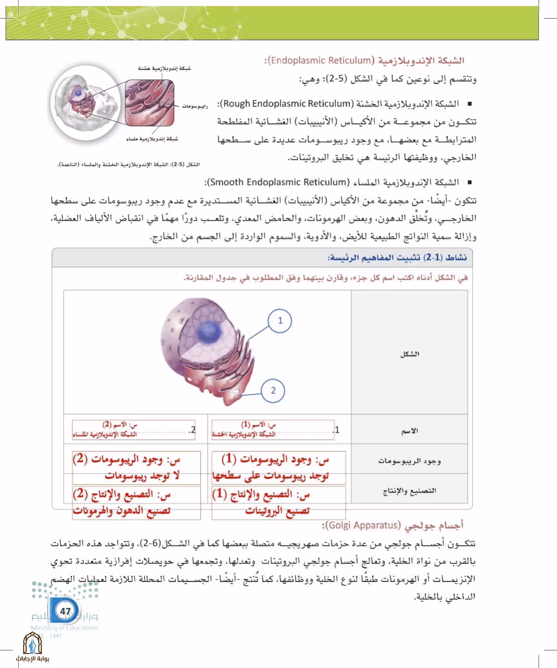 صفحة 47