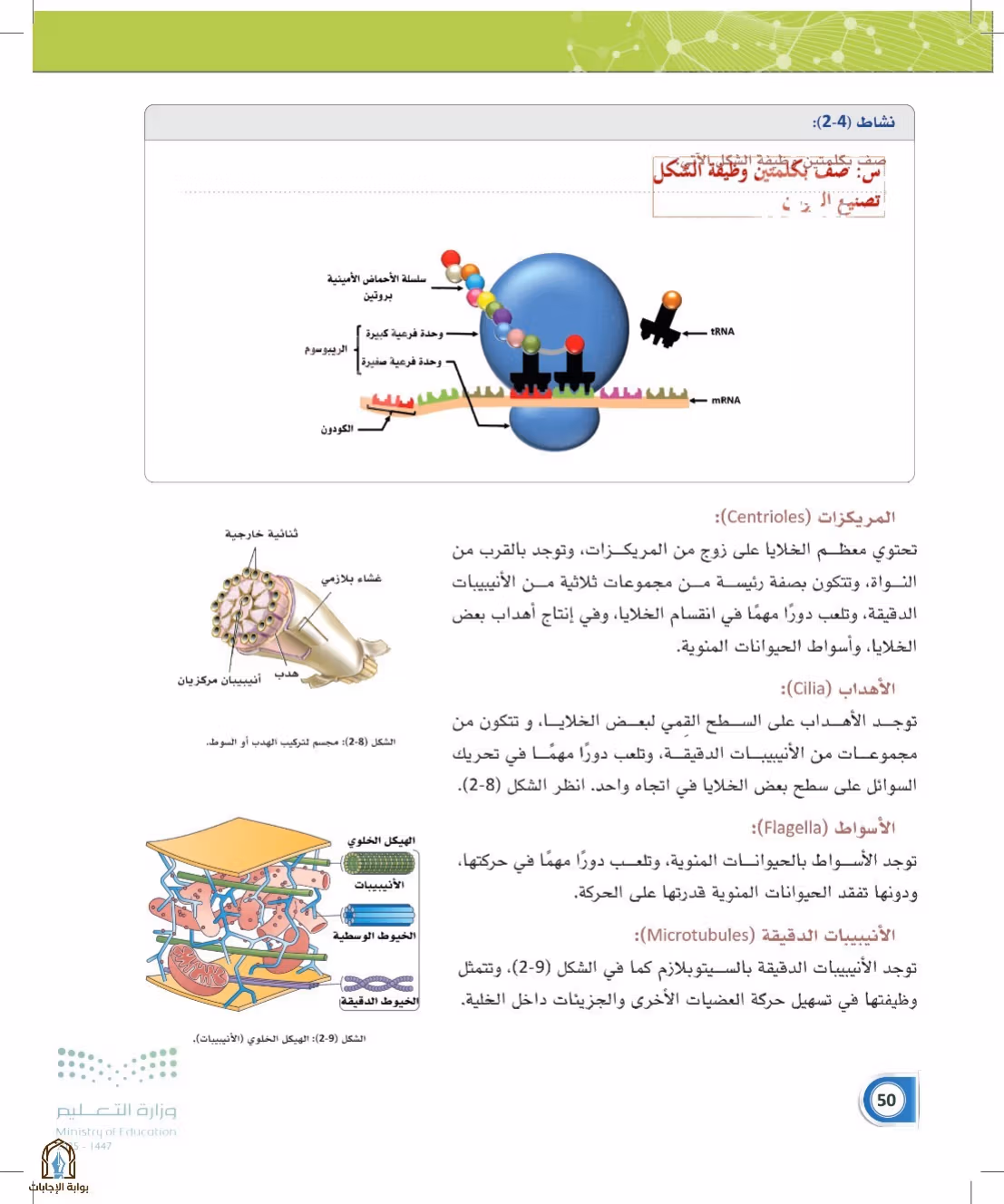 صفحة 50