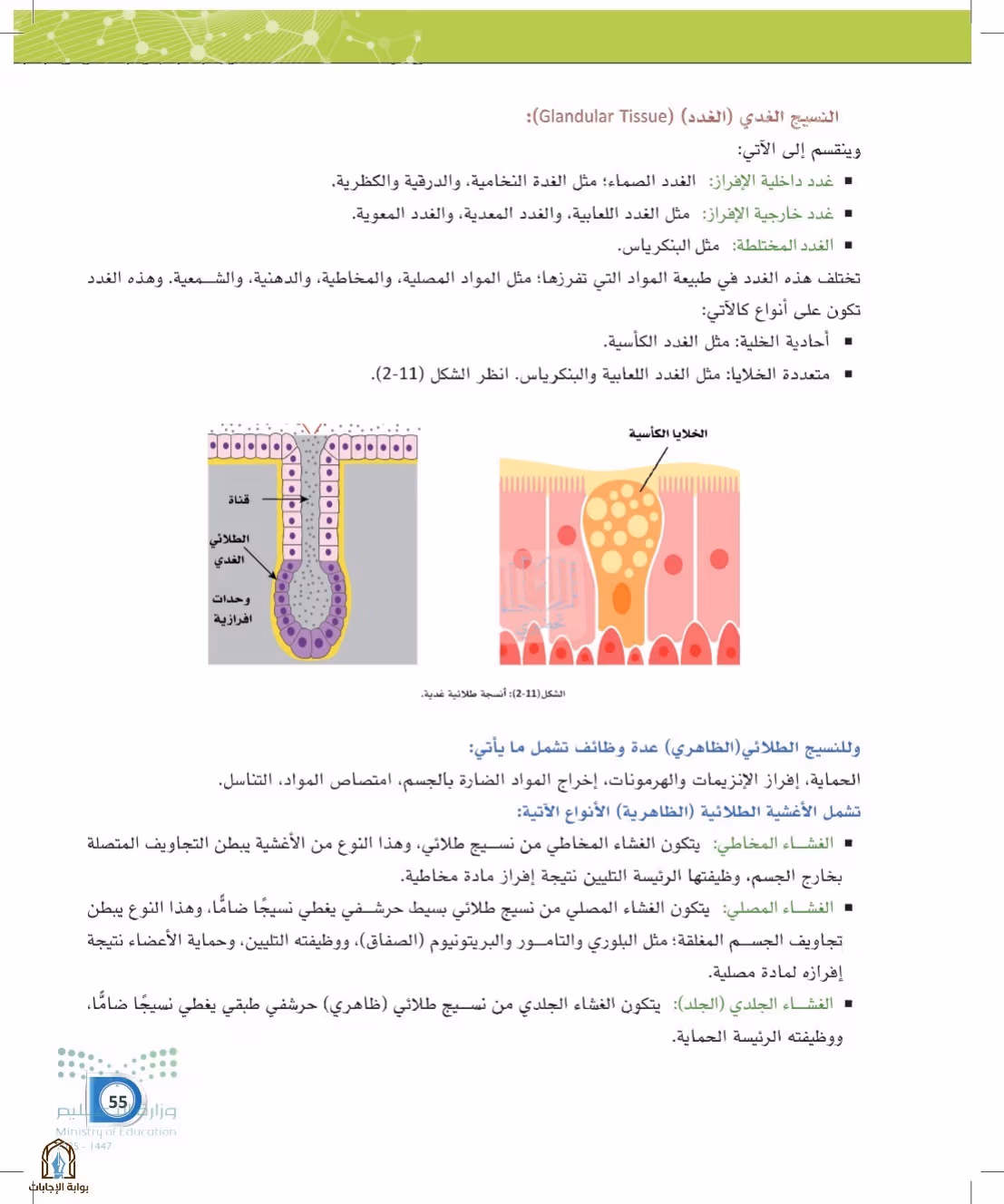 صفحة 55