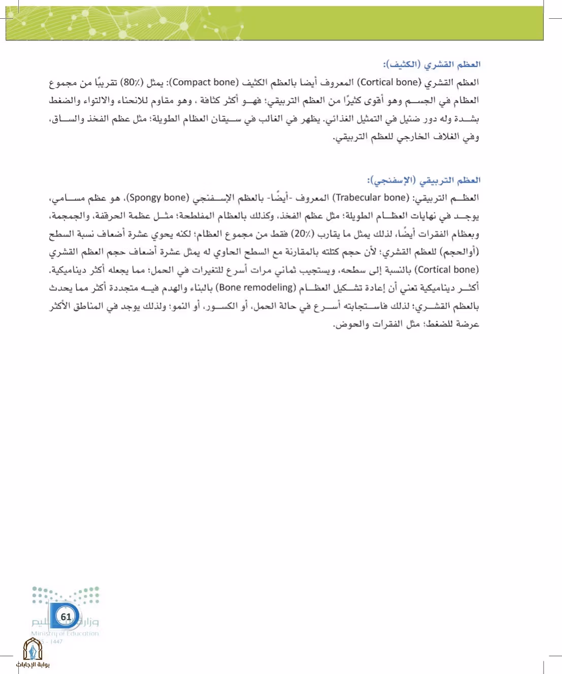 صفحة 61