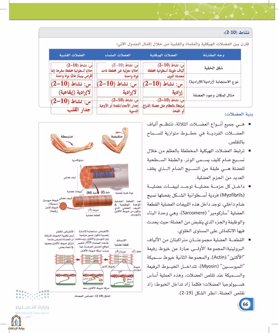 صفحة 66