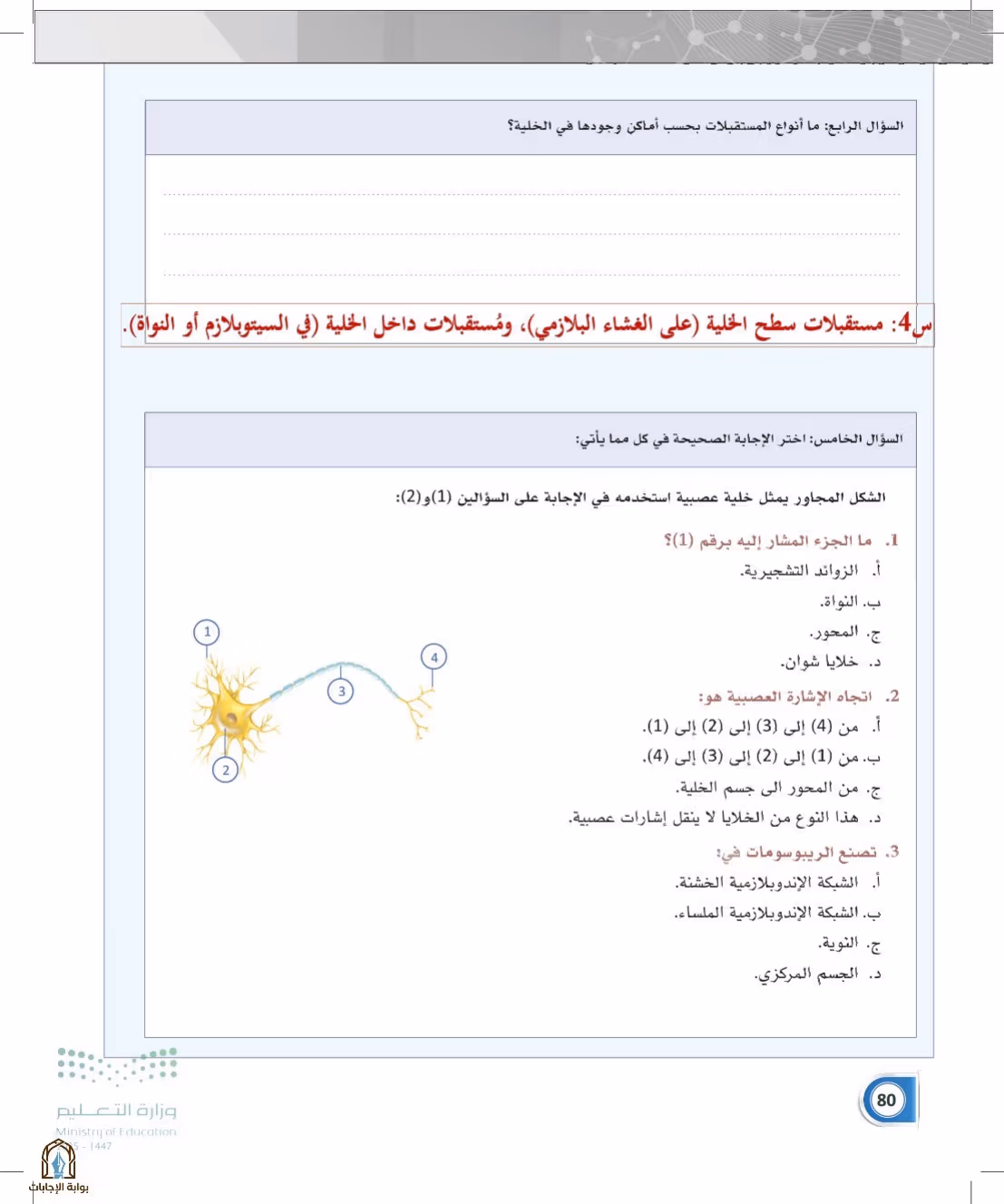 صفحة 80