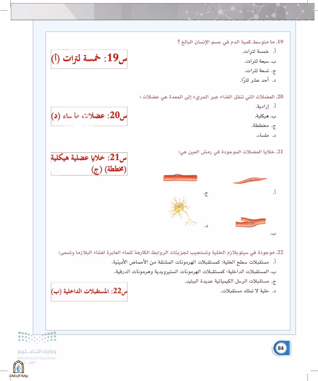 صفحة 84