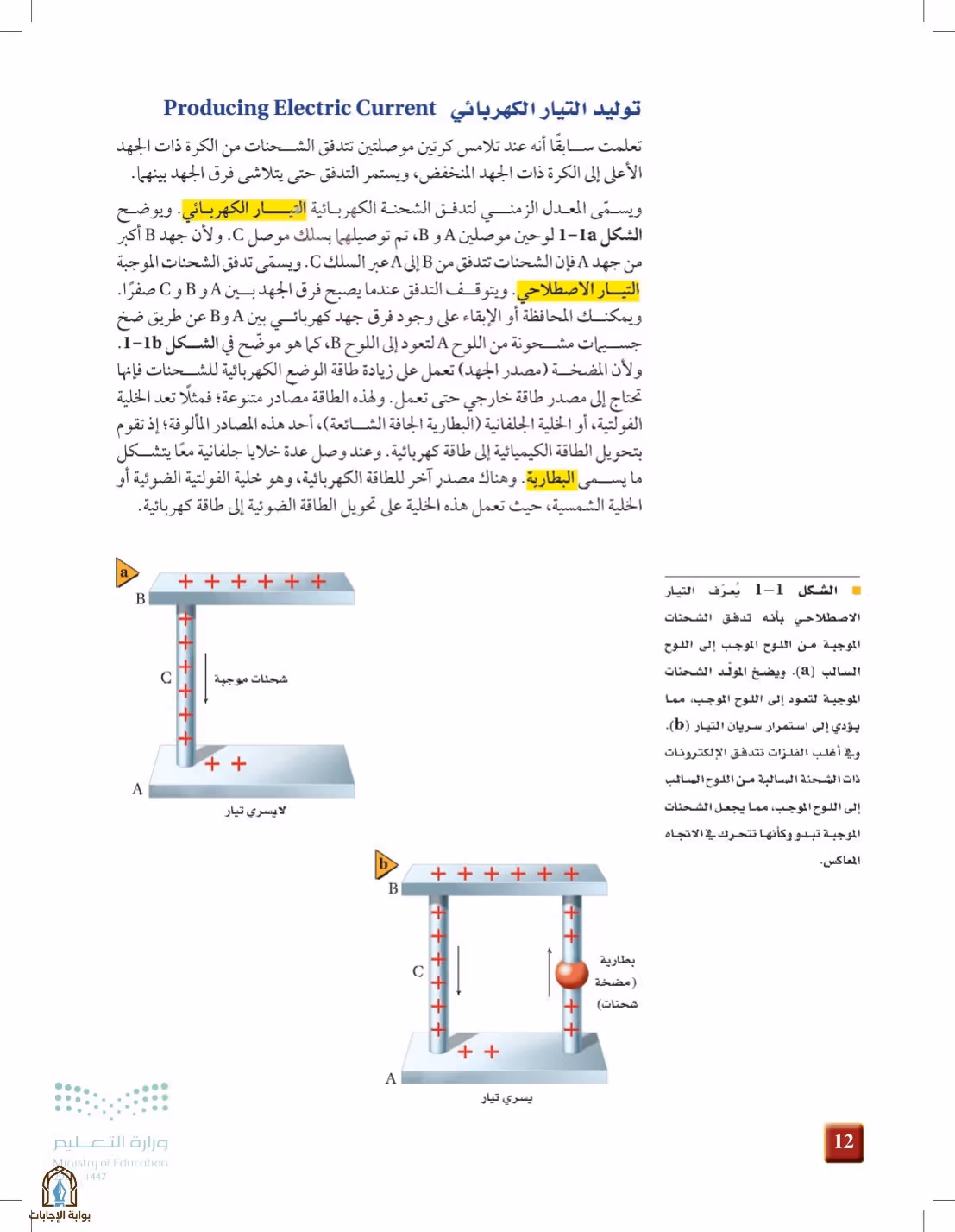 صفحة 12