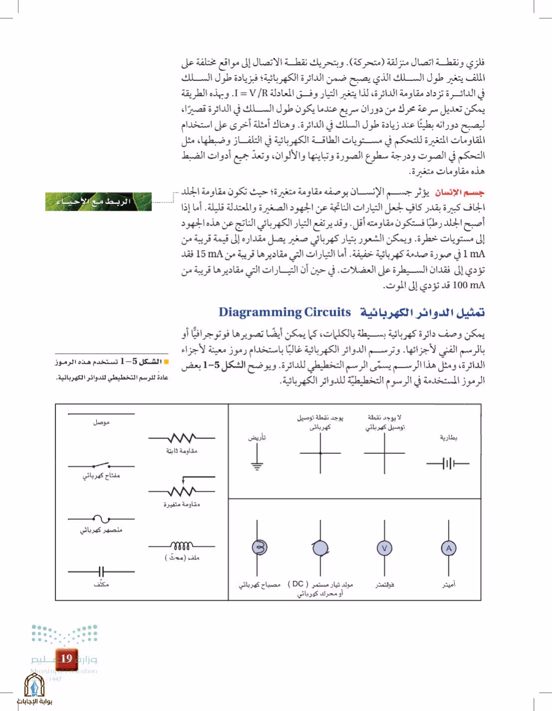 صفحة 19