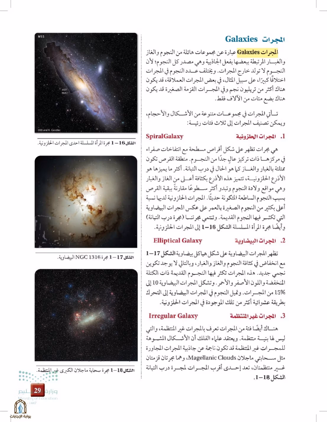 صفحة 29