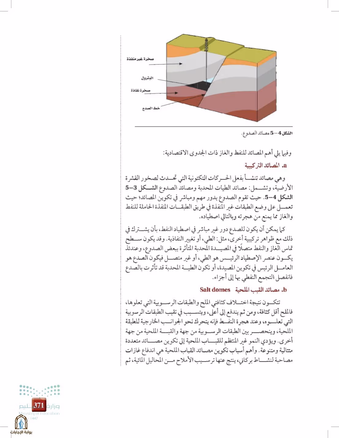 صفحة 371