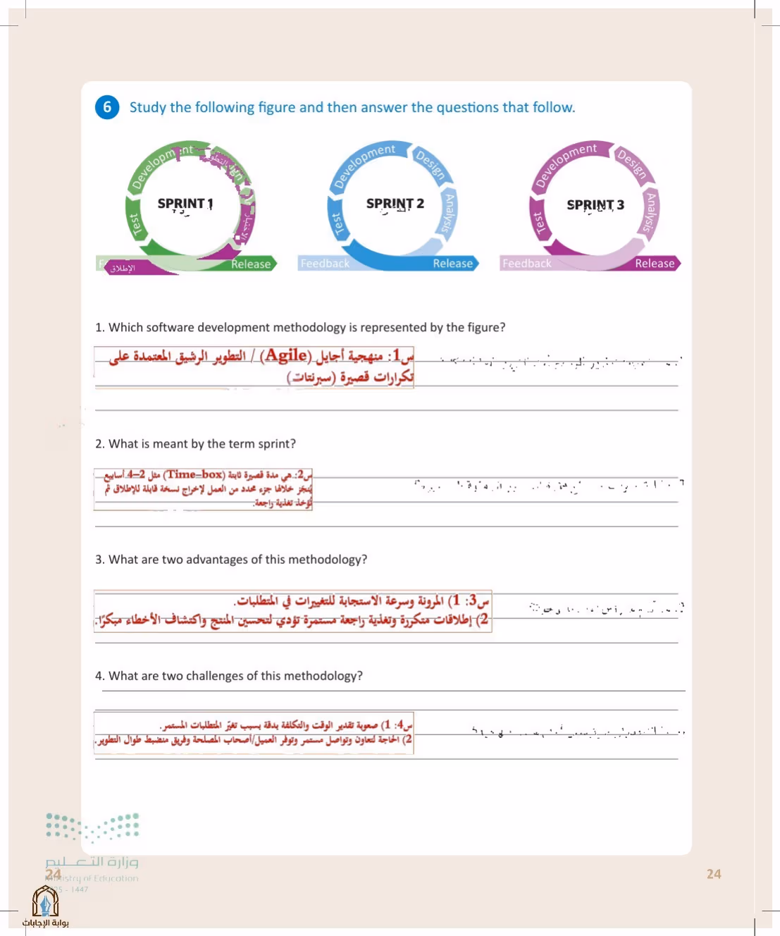صفحة 24