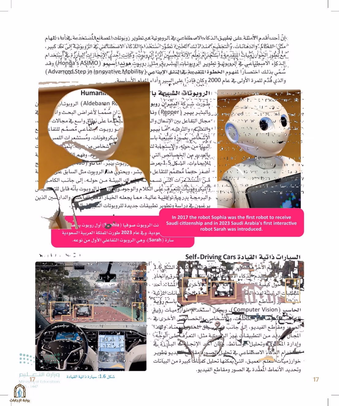 صفحة 17