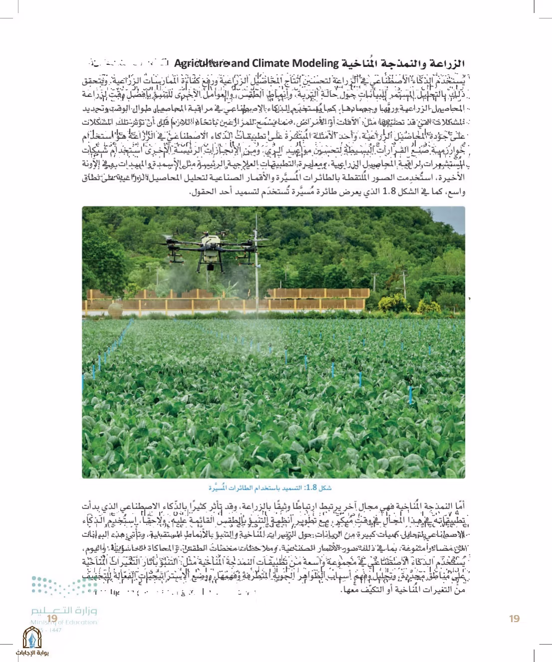 صفحة 19