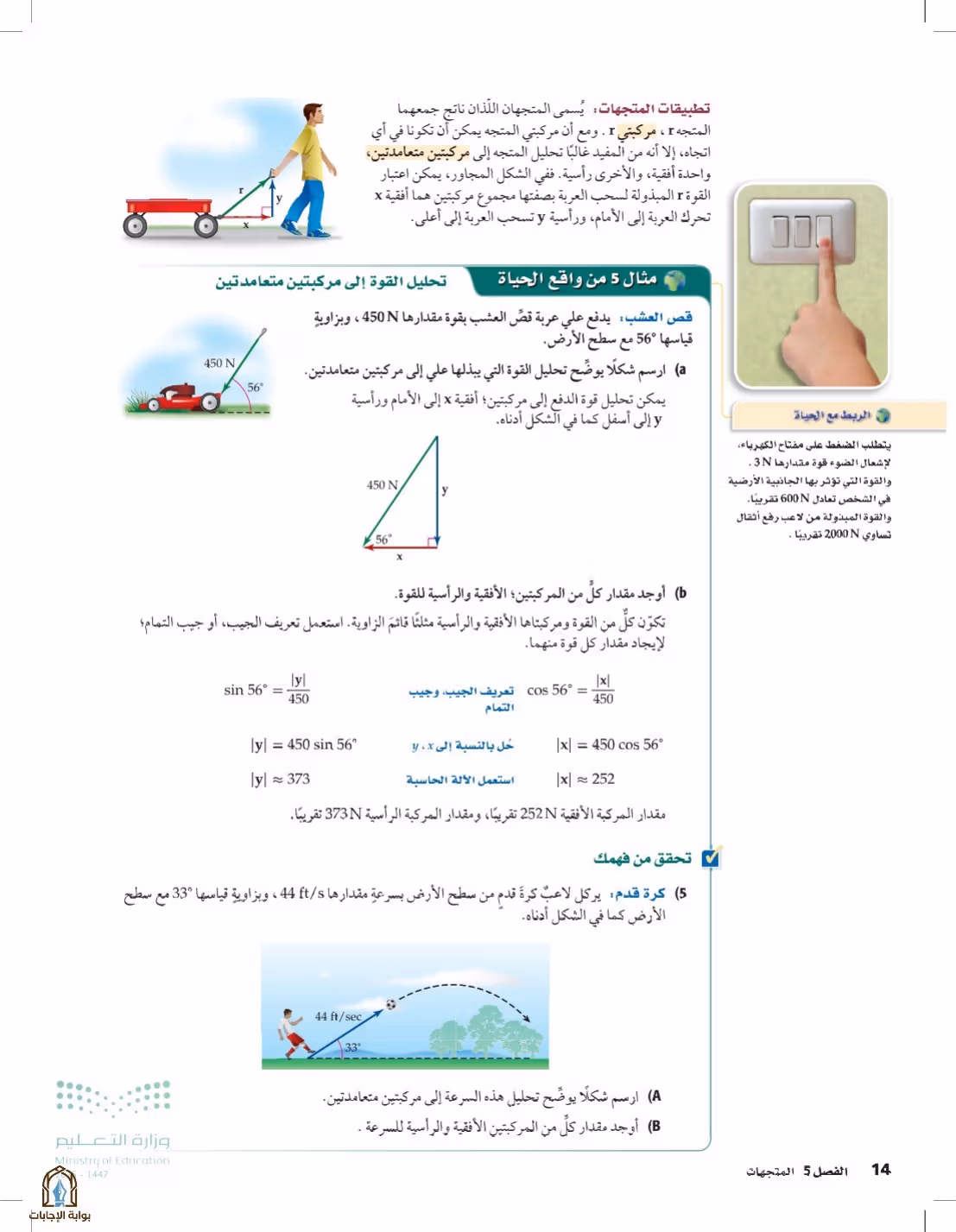 صفحة 14