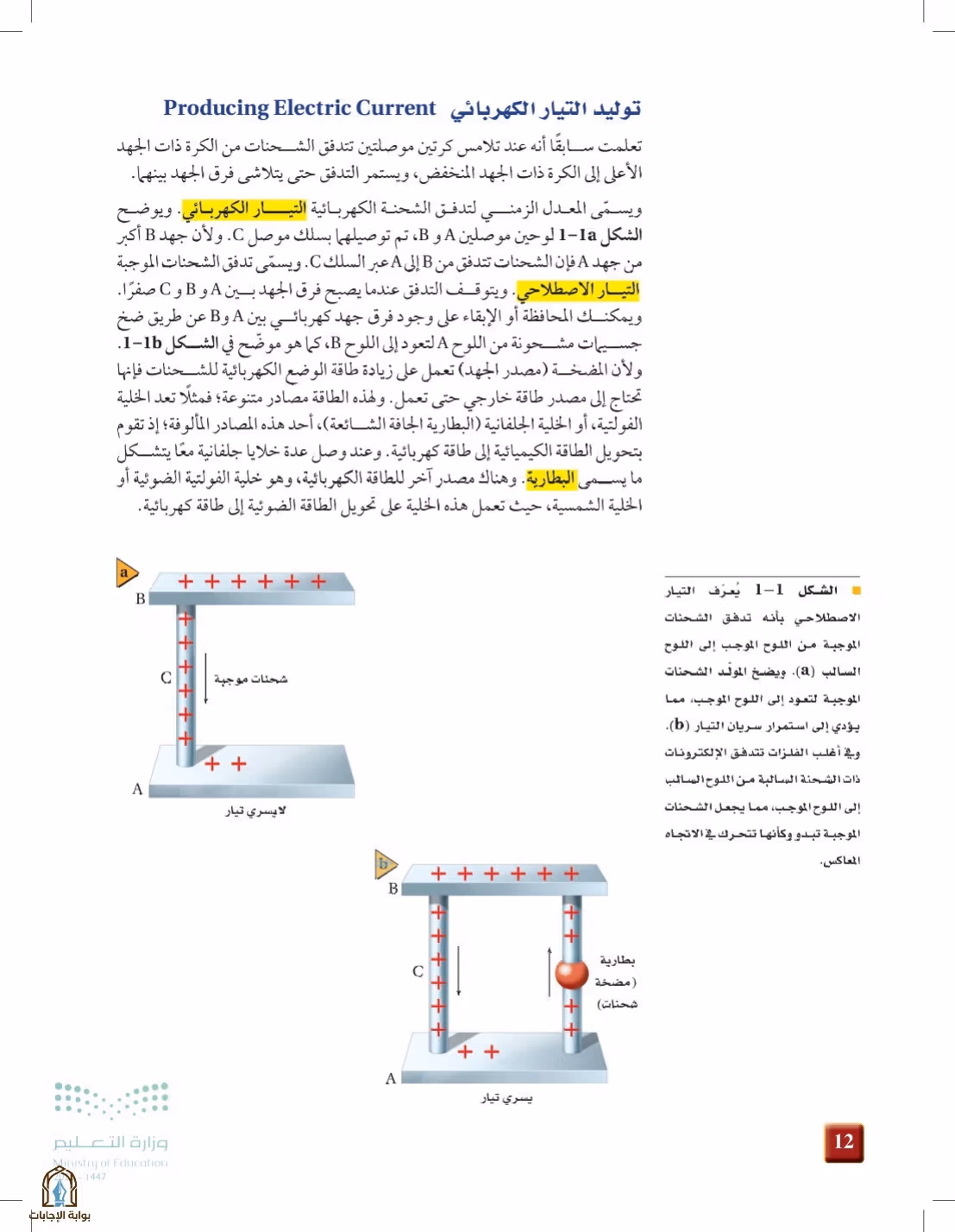 صفحة 12