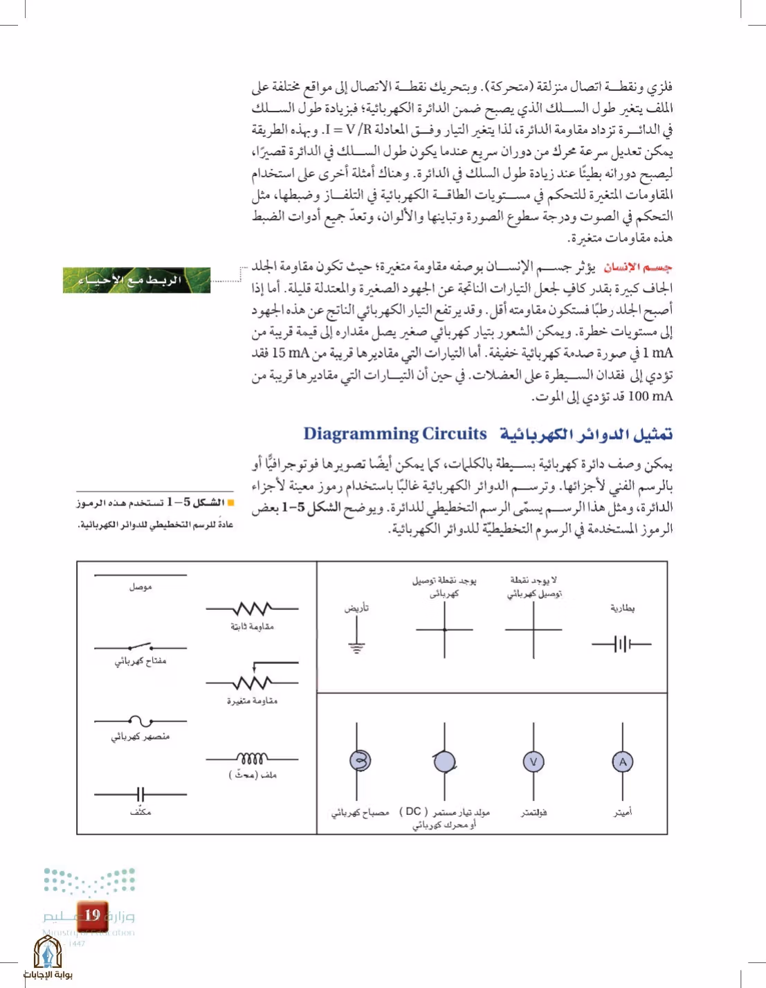 صفحة 19