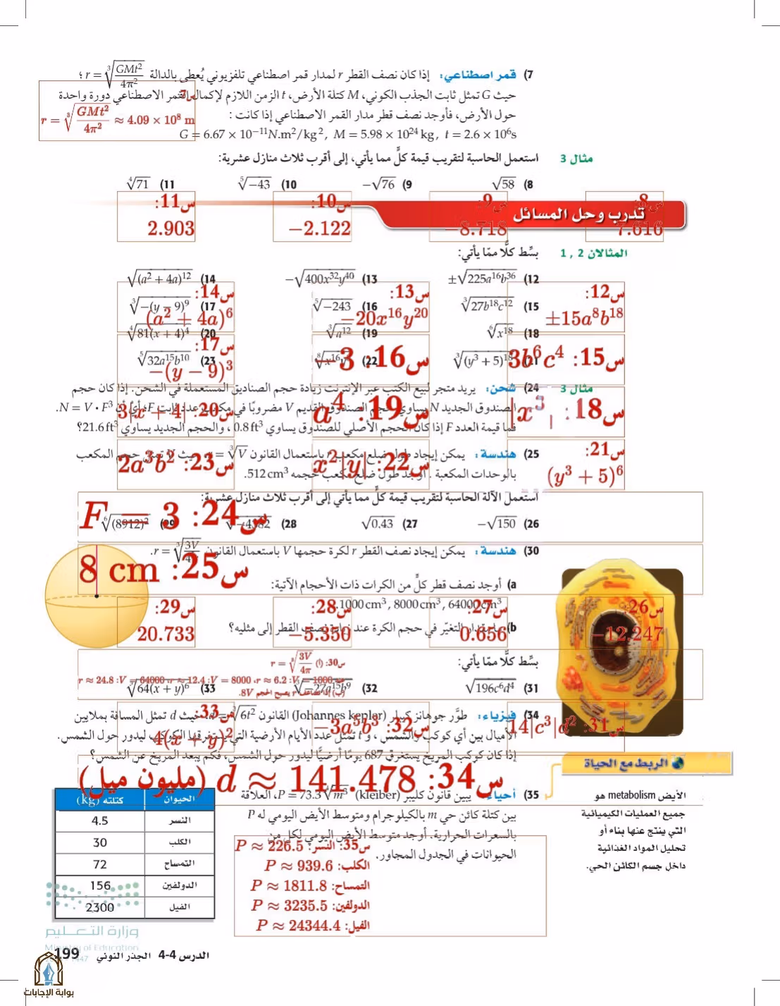صفحة 199