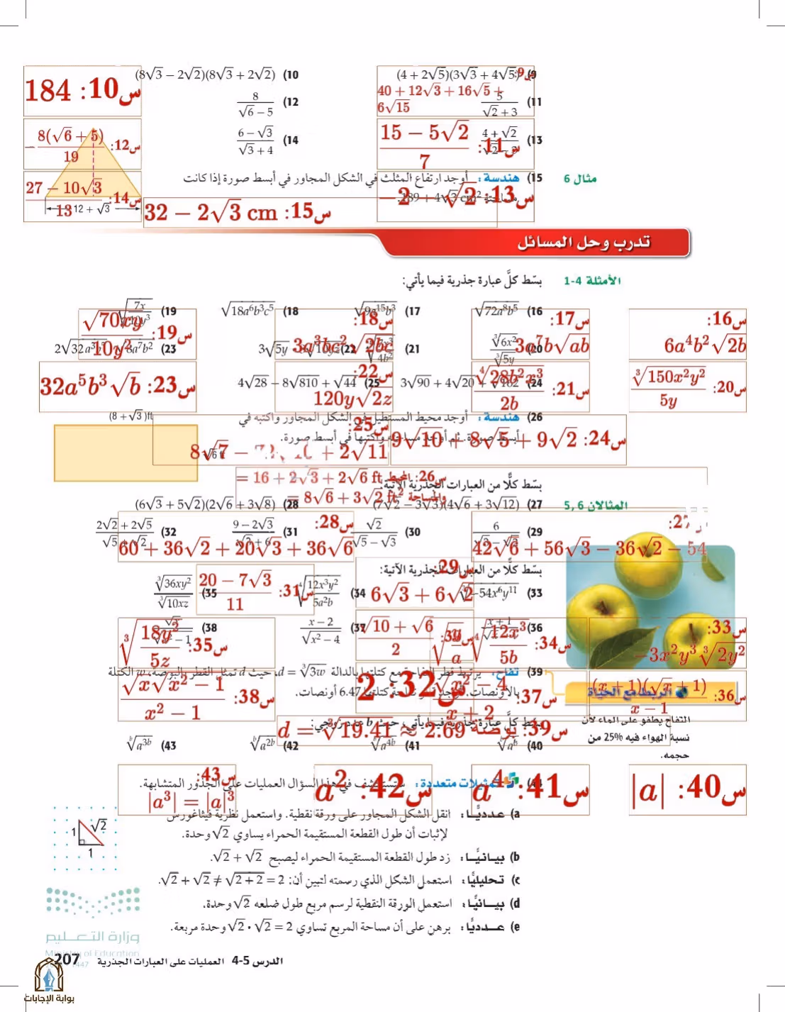 صفحة 207