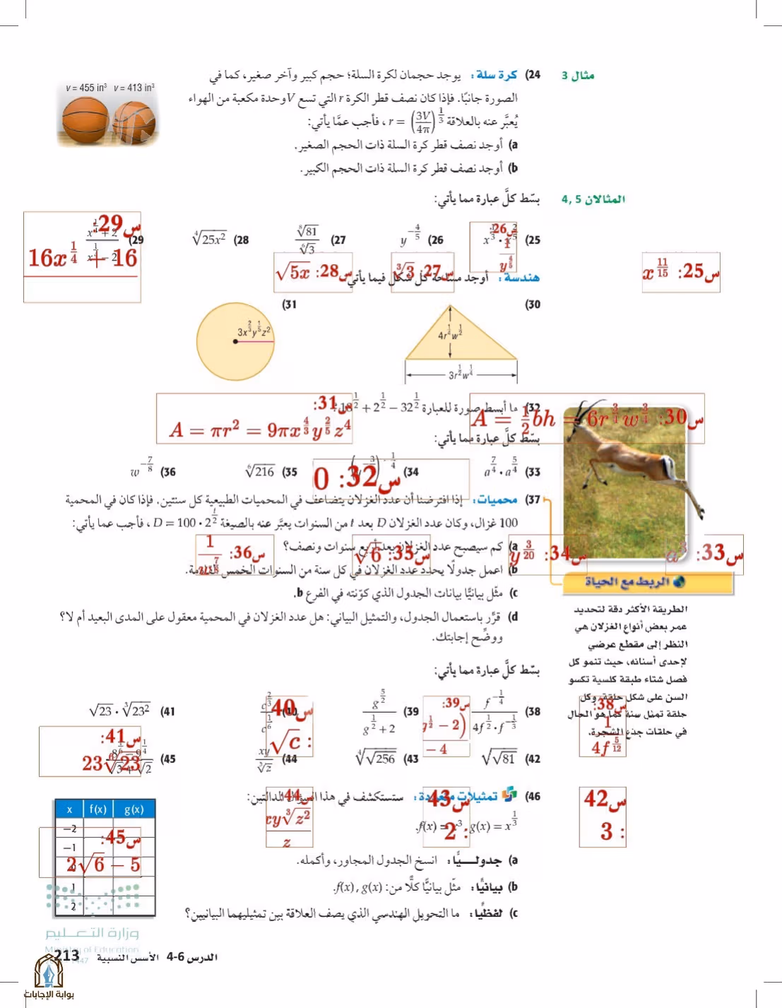 صفحة 213