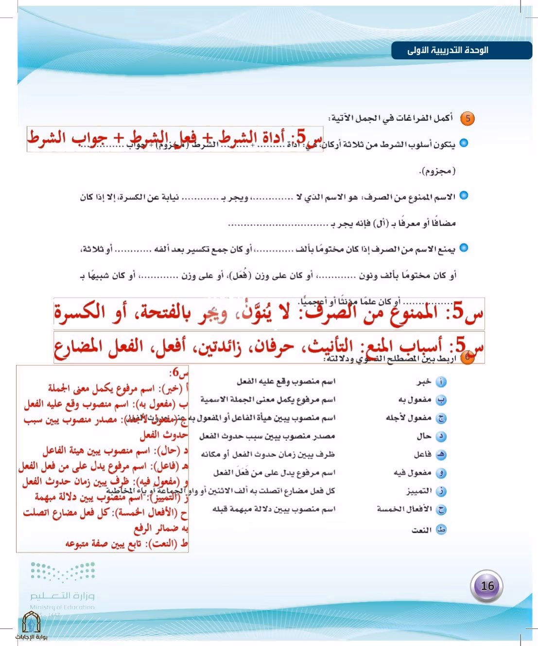 صفحة 16