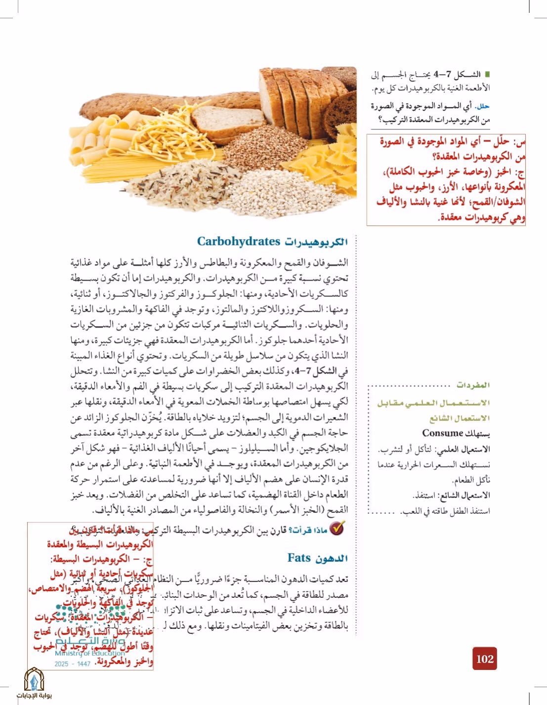 صفحة 102