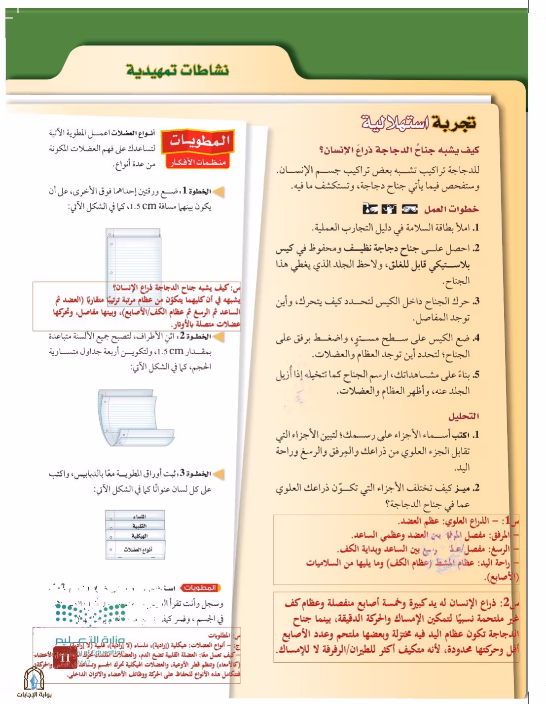 صفحة 11