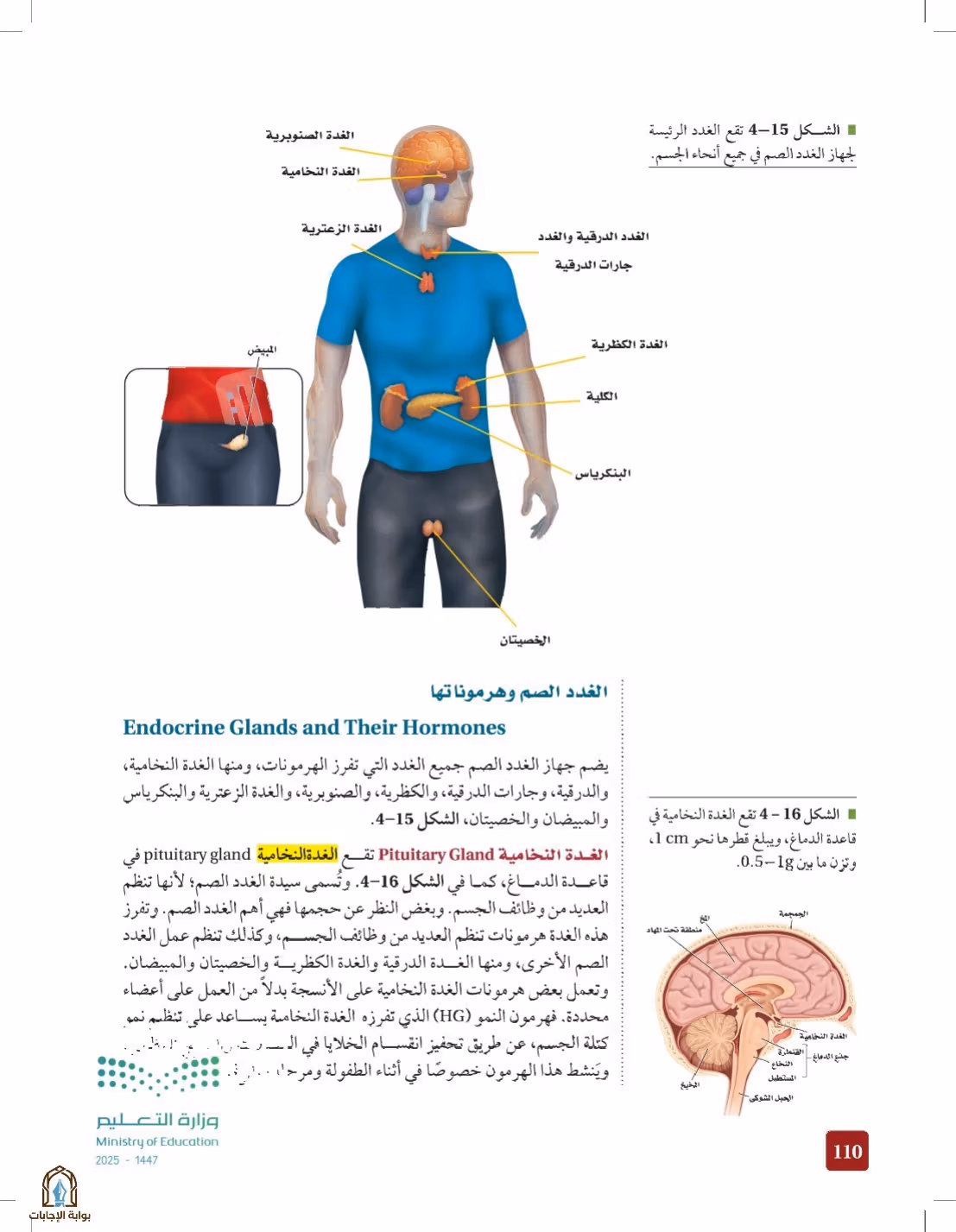 صفحة 110