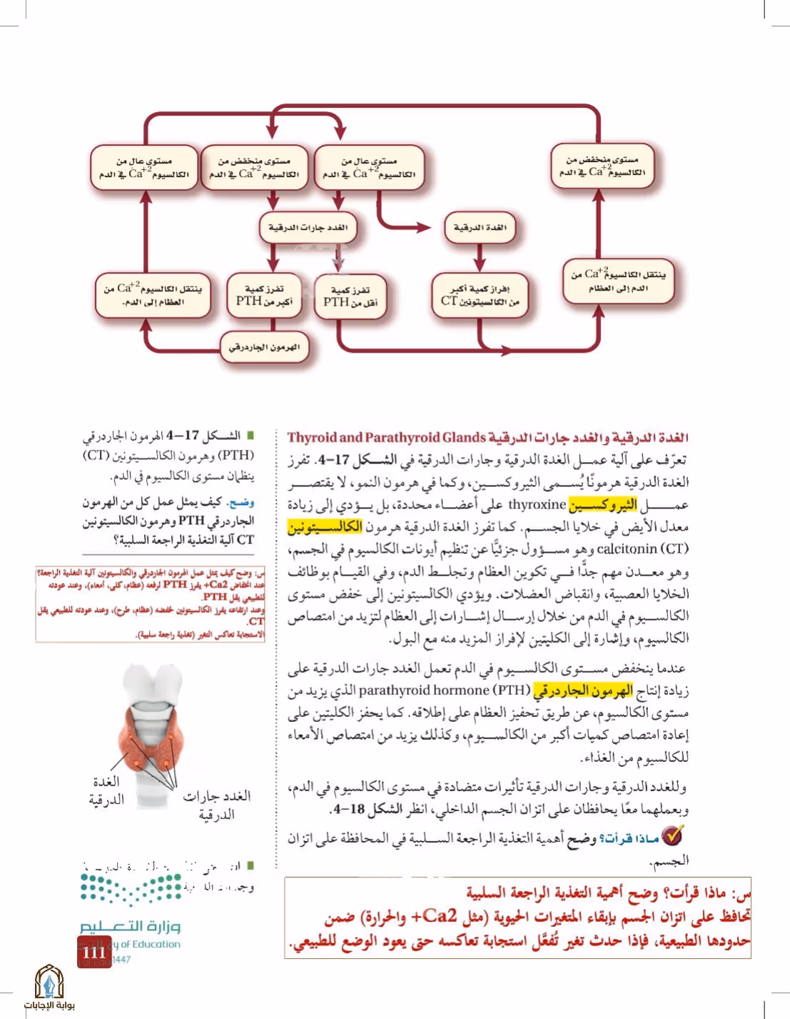 صفحة 111
