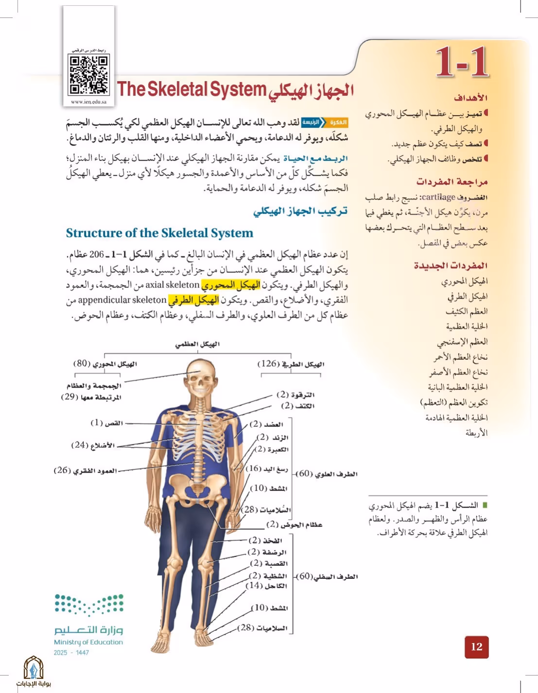 صفحة 12