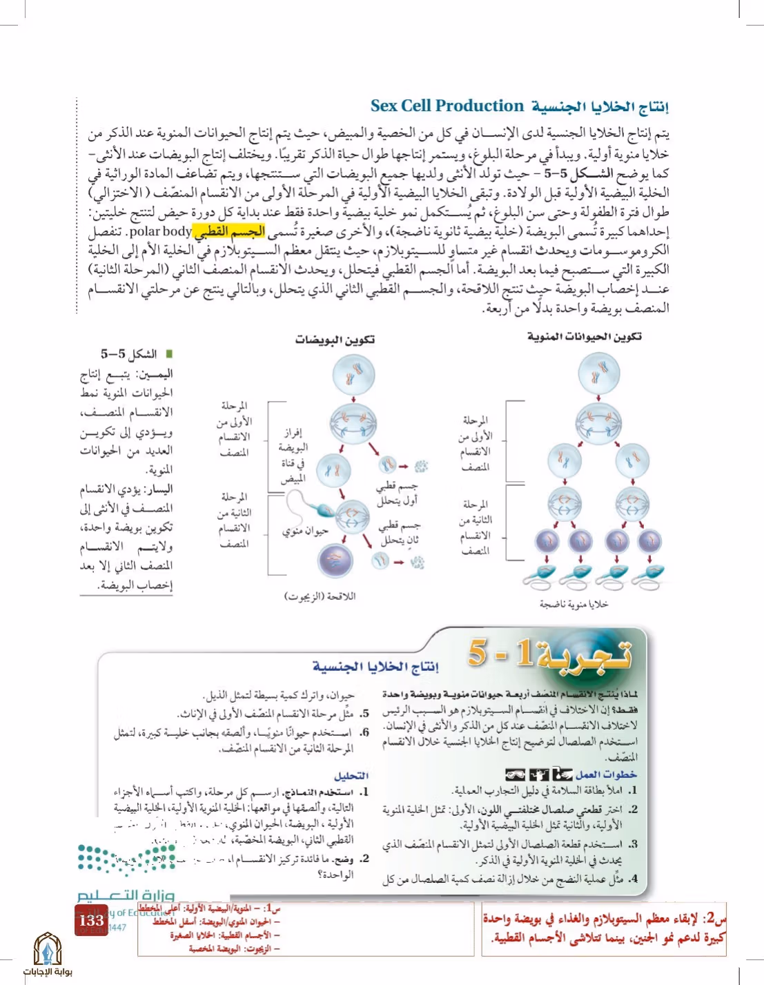 صفحة 133
