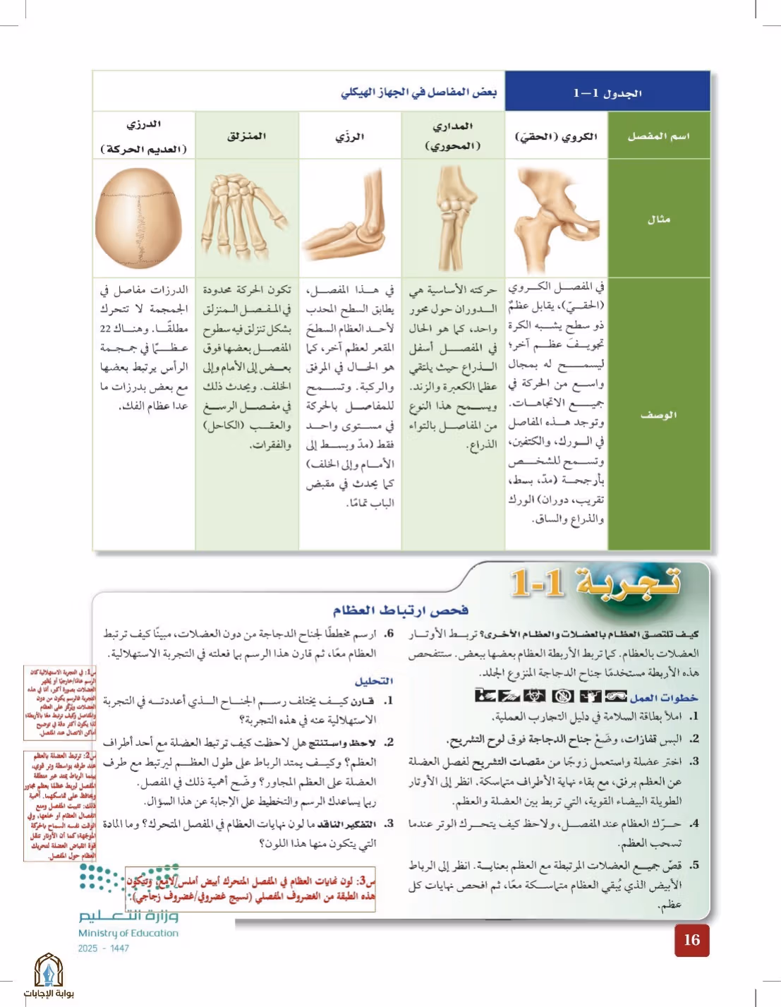 صفحة 16
