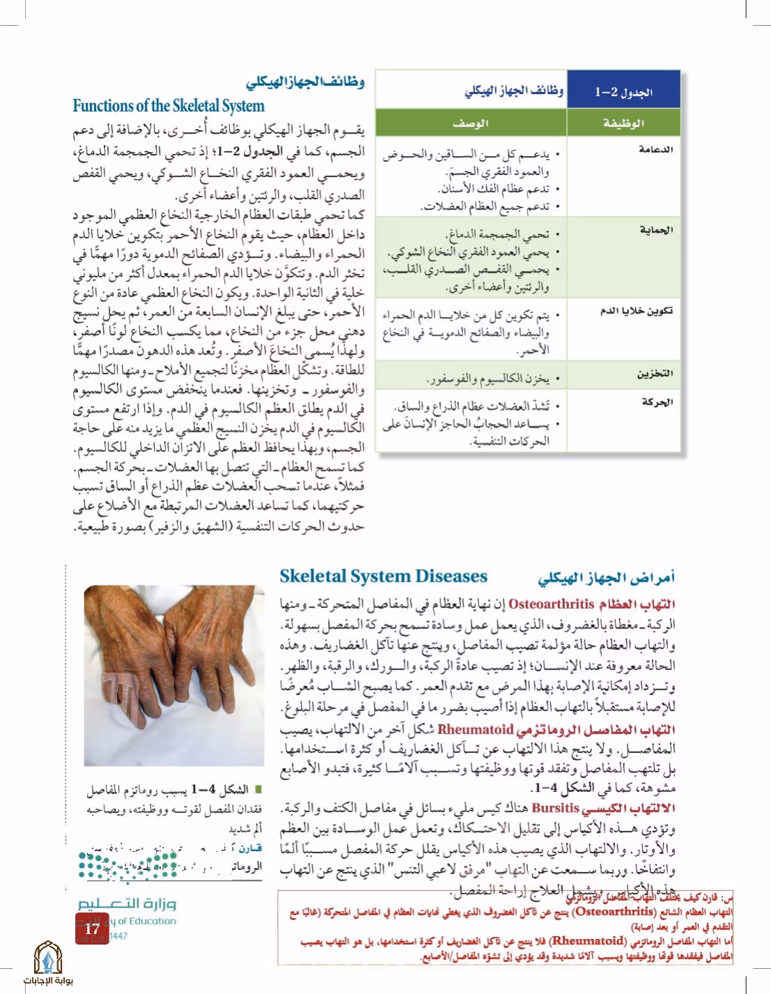 صفحة 17