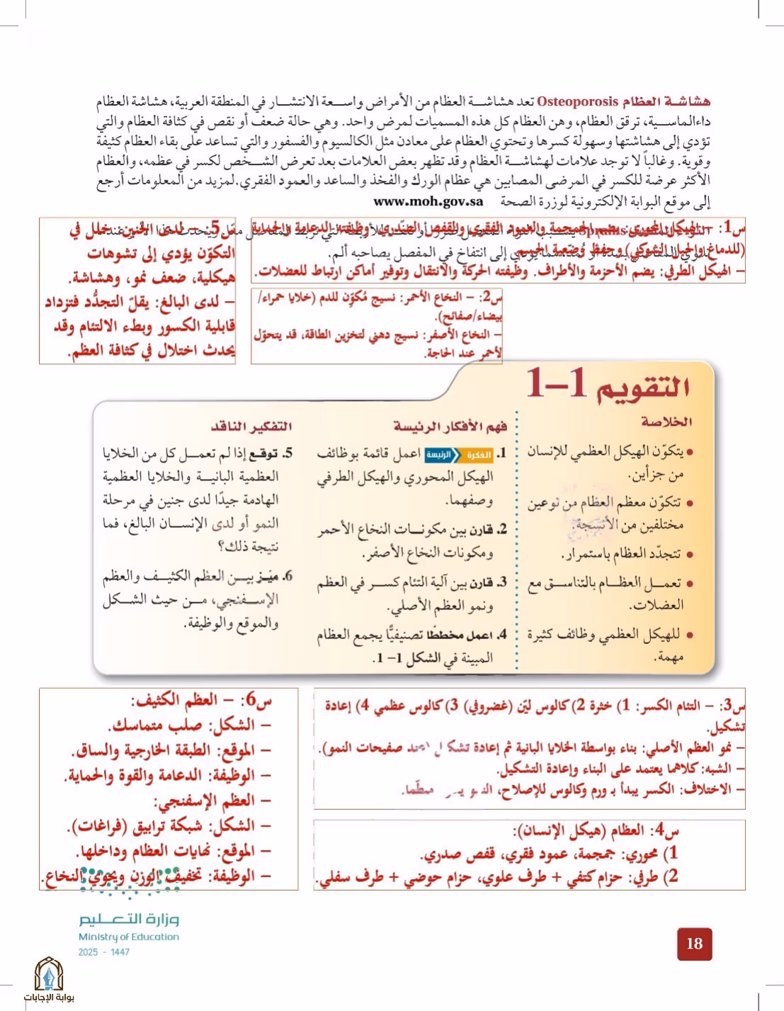 صفحة 18