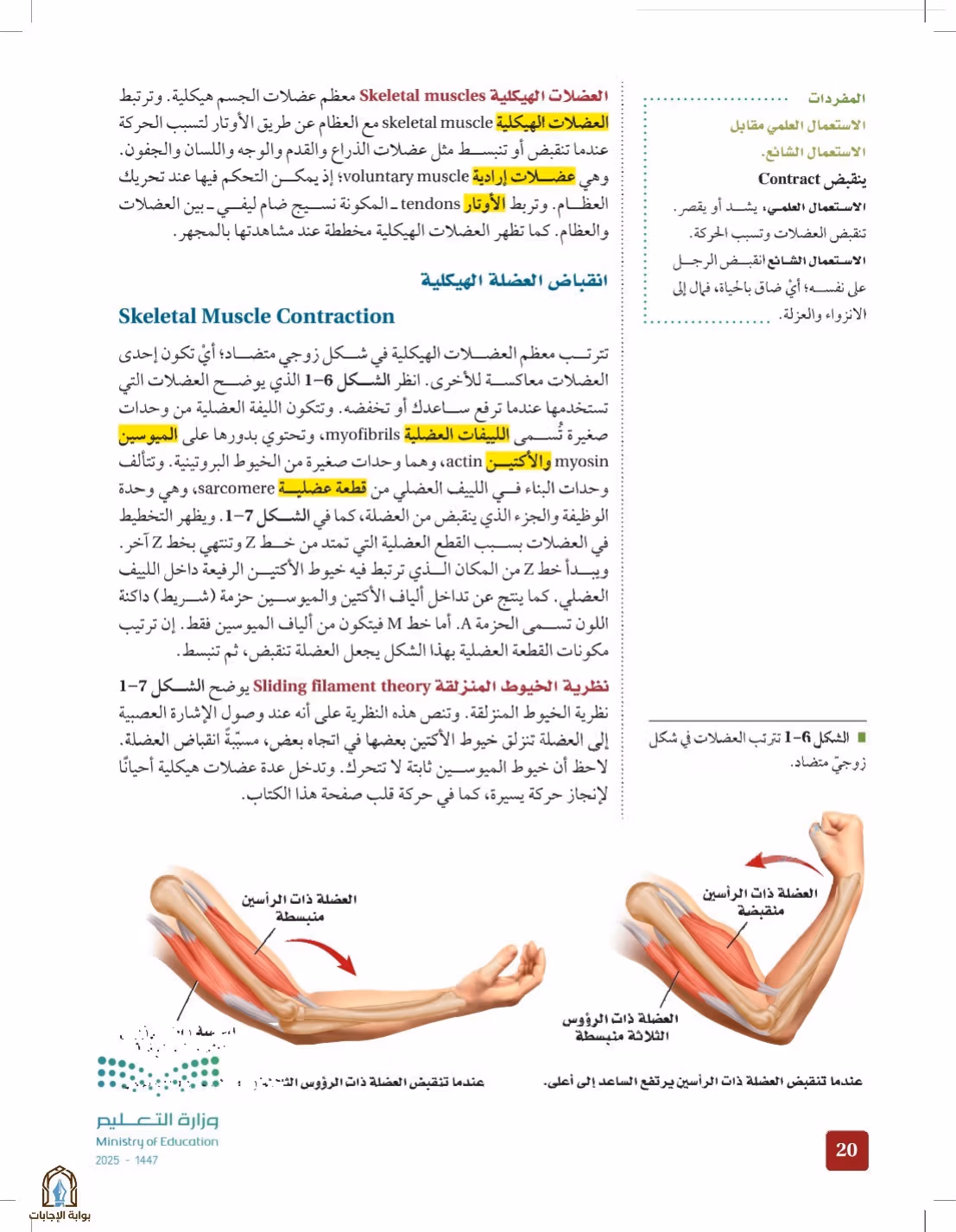 صفحة 20