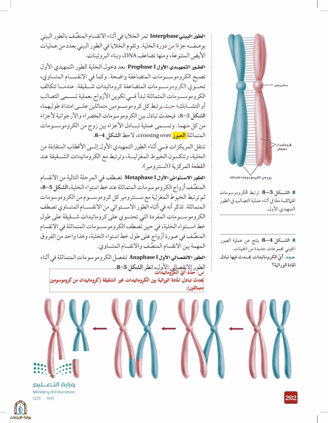 صفحة 202
