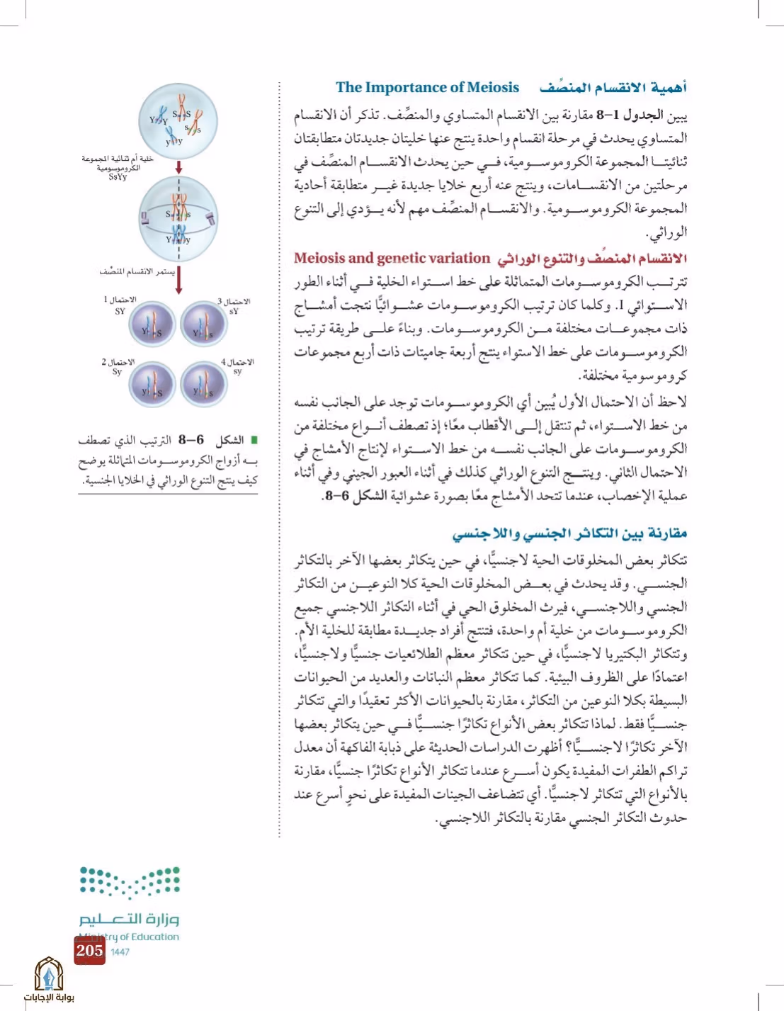 صفحة 205