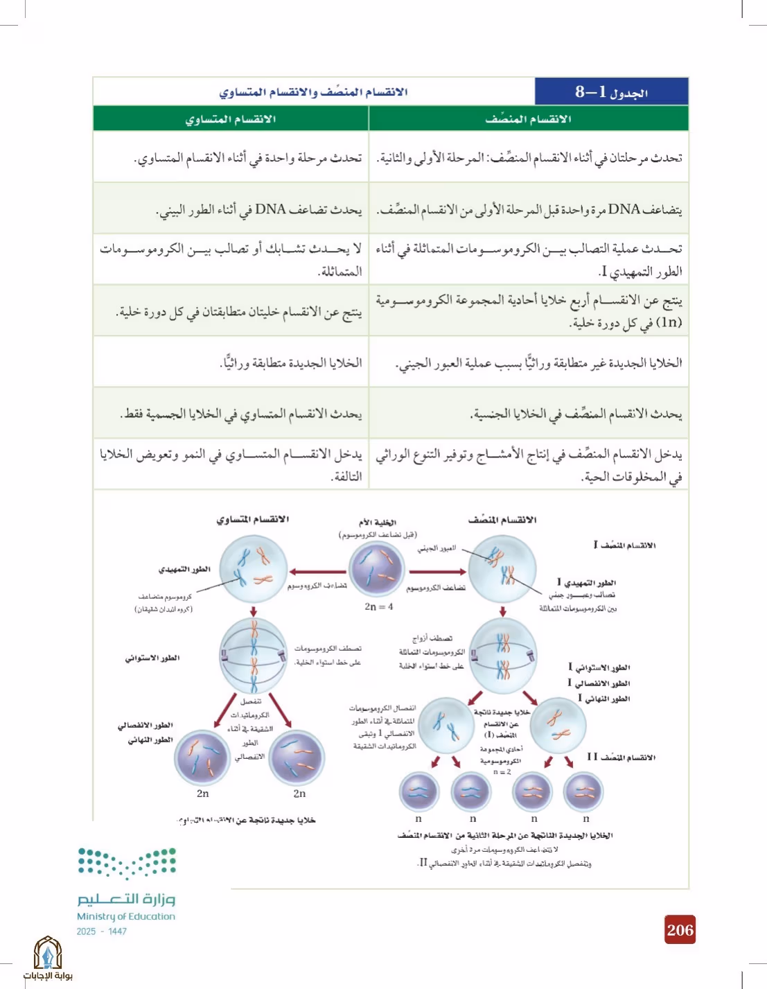 صفحة 206