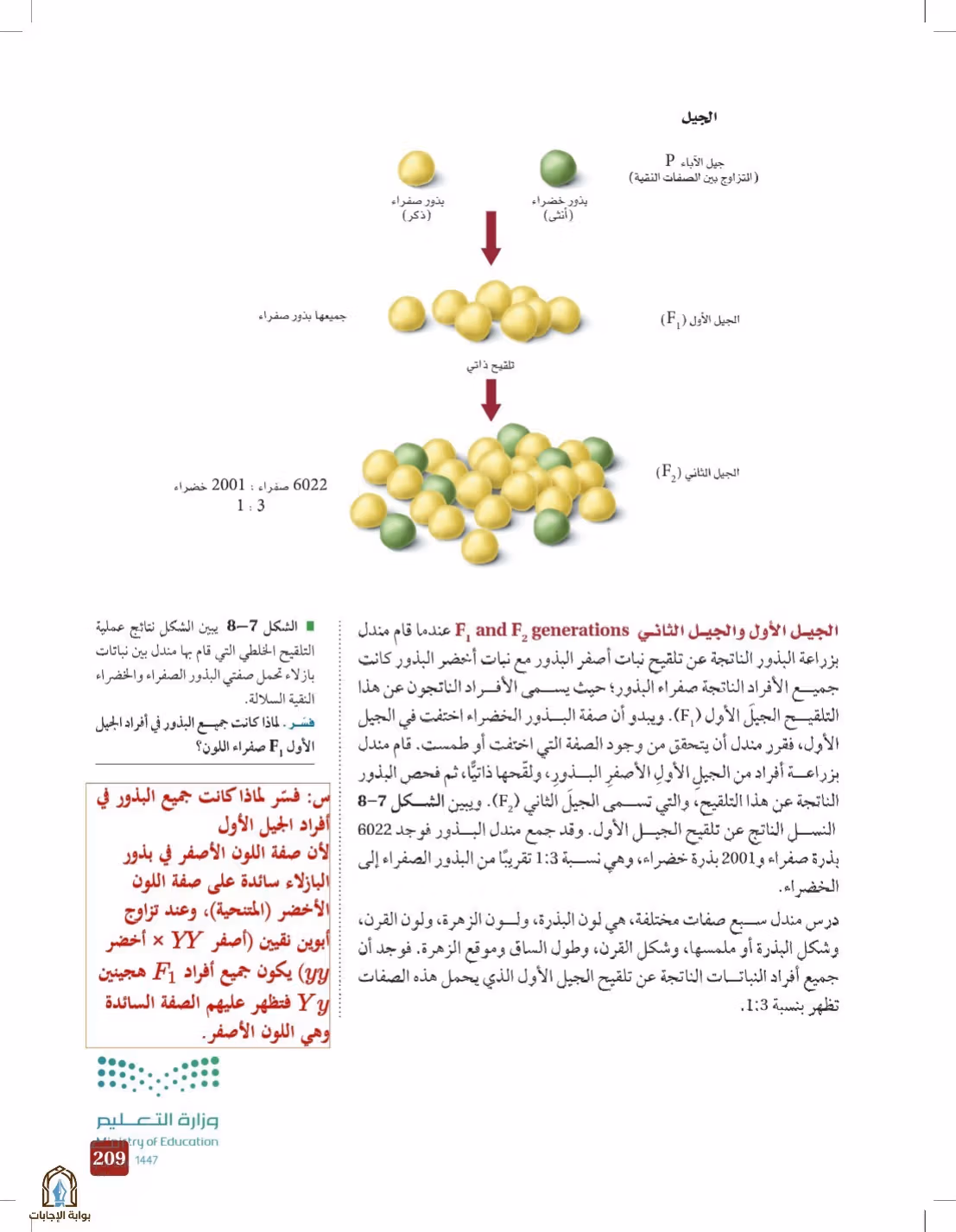 صفحة 209