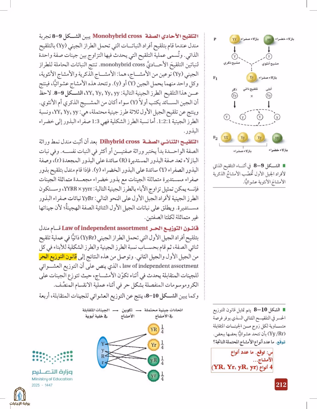 صفحة 212