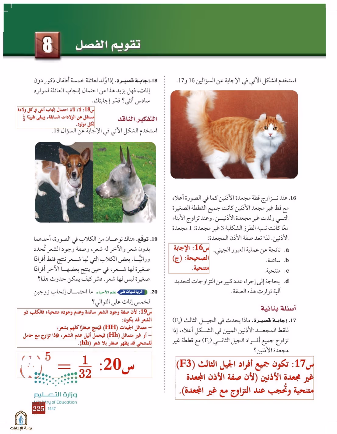 صفحة 225