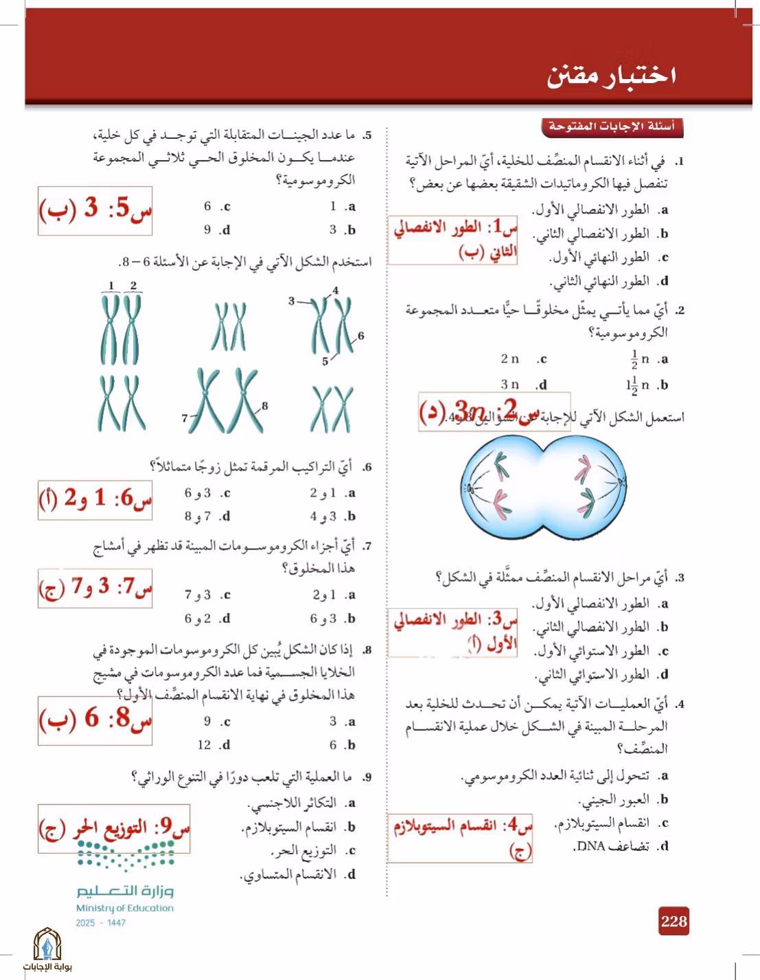 صفحة 228