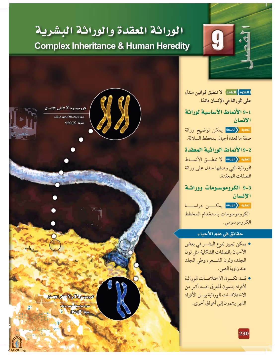 صفحة 230