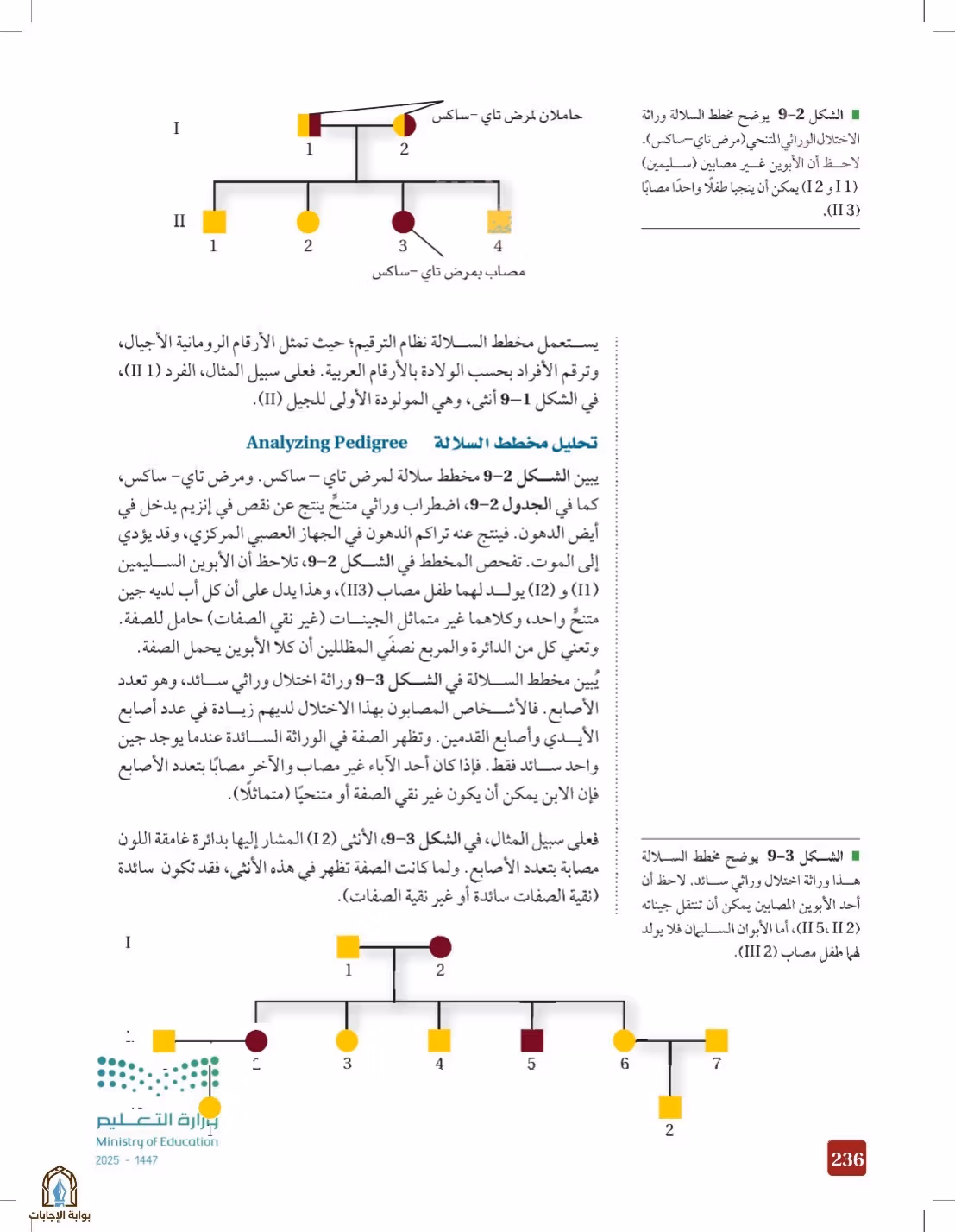 صفحة 236