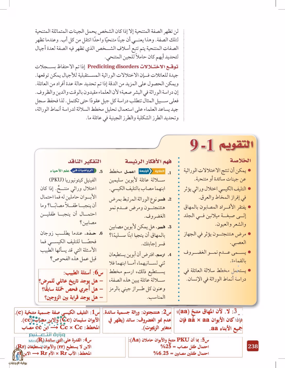 صفحة 238