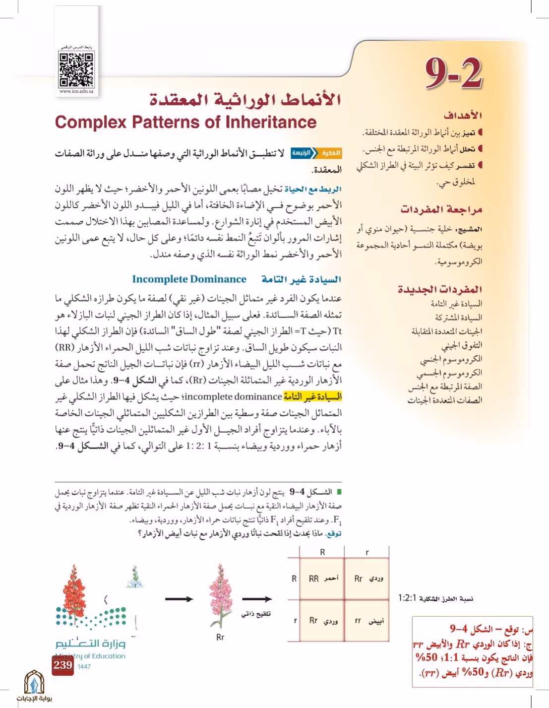 صفحة 239