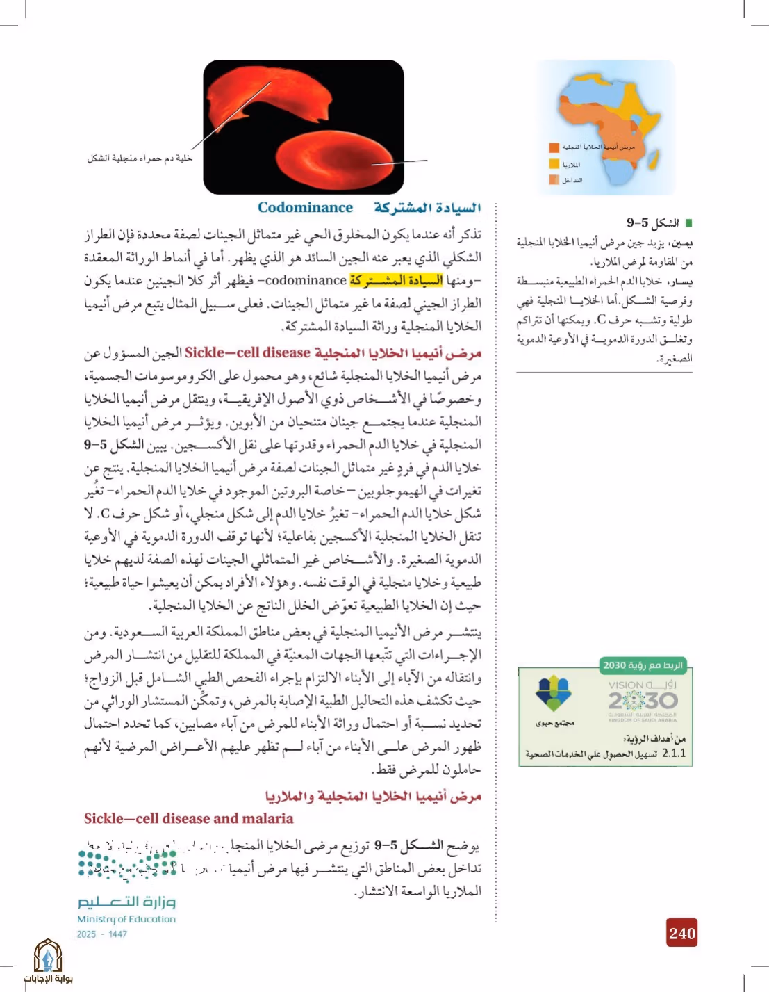 صفحة 240