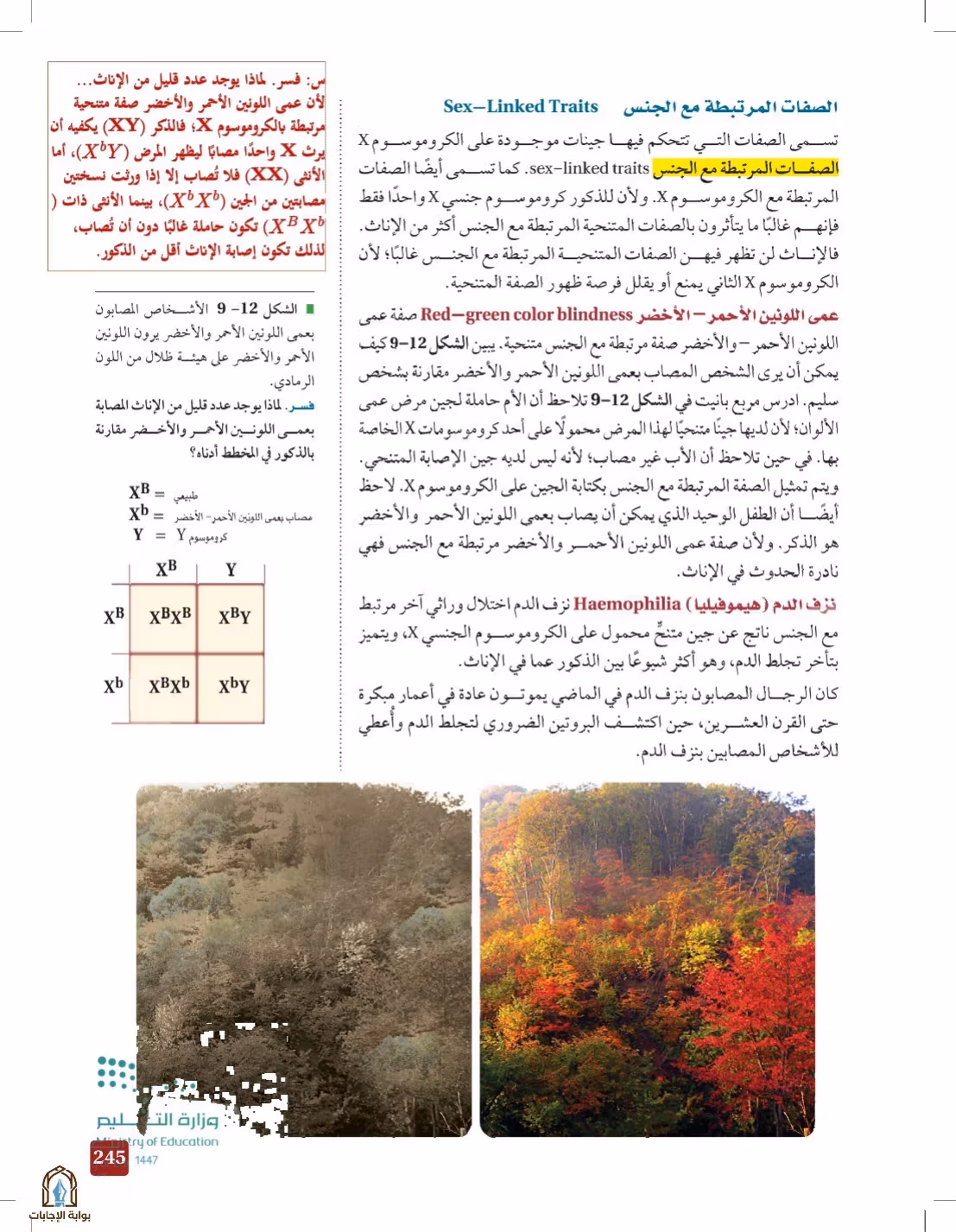 صفحة 245