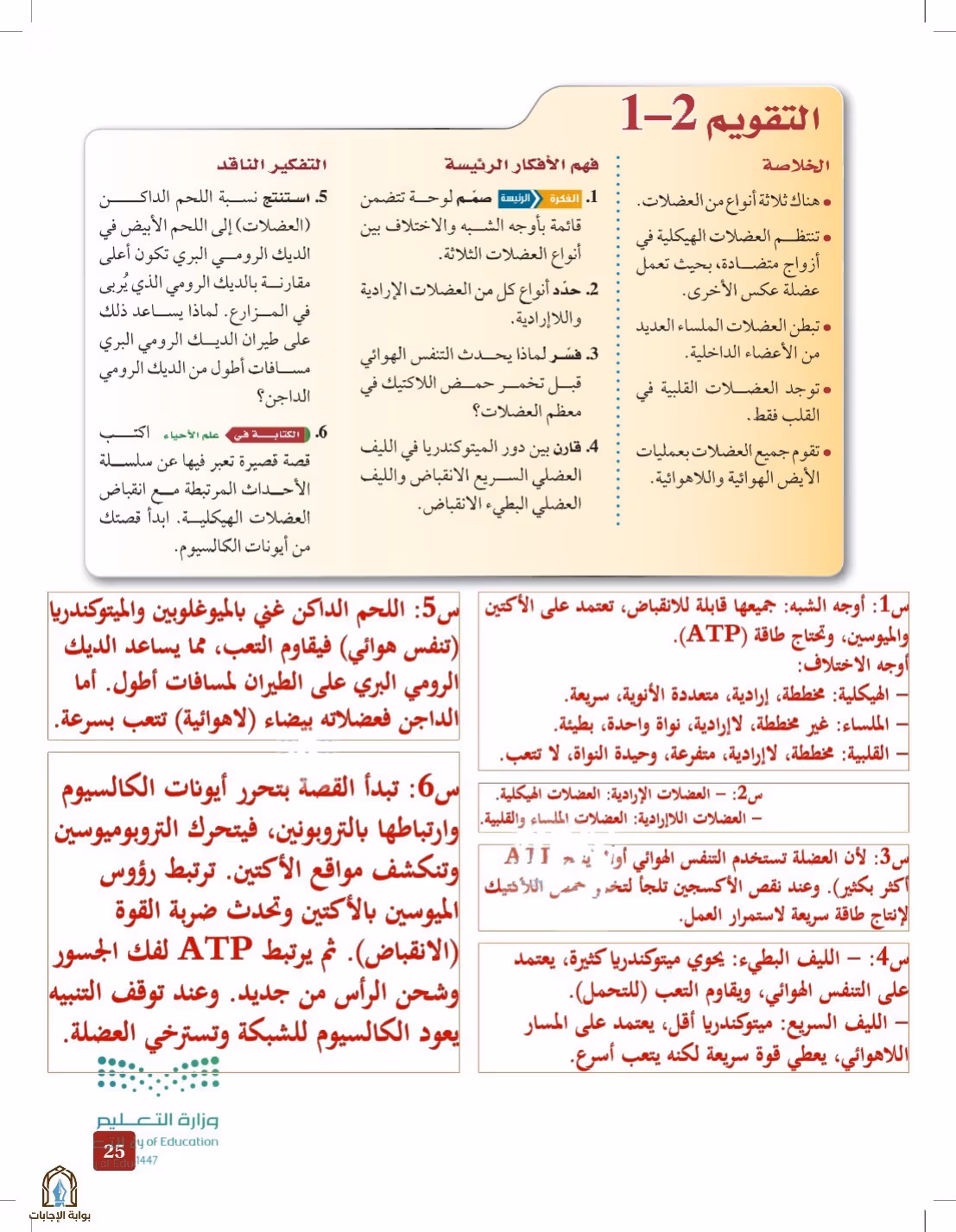 صفحة 25